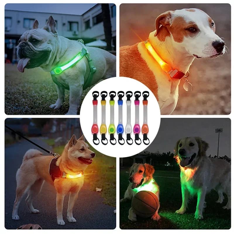 Wodoodporna obroża LED, bezpieczeństwo po zmroku 🐾